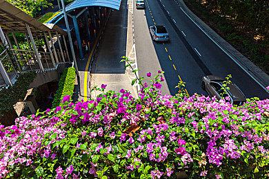 星空可以多人联机吗？星空游戏是单机还是网游？